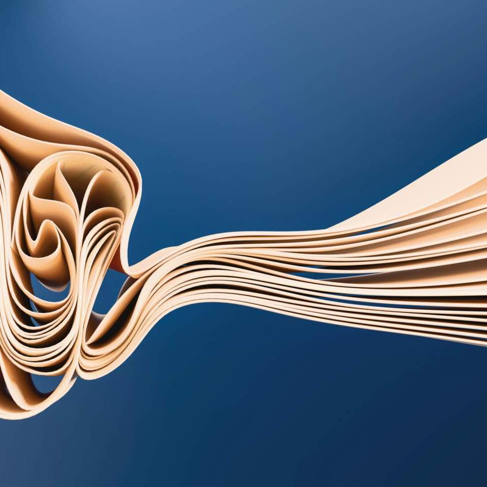 Image for Vestibular Insights